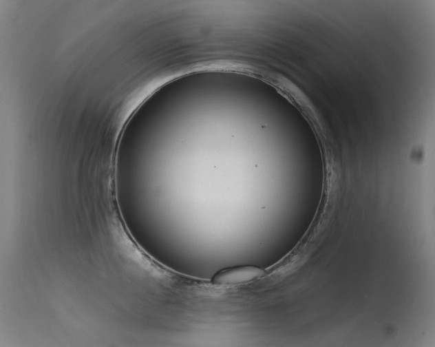 X0000115640860200911101515