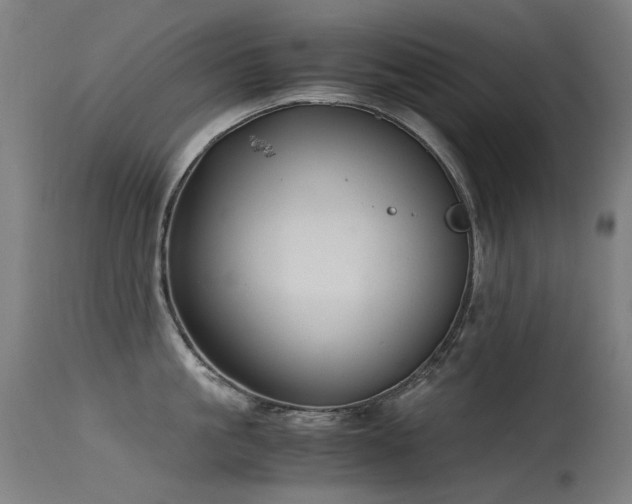 X0000115640861200911101515
