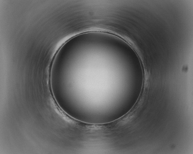 X0000115640862200911101515