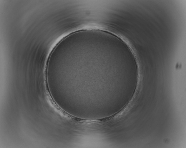 X0000115640864200911101515