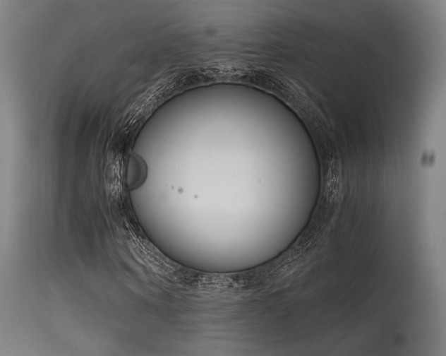 X0000115640866200911101514