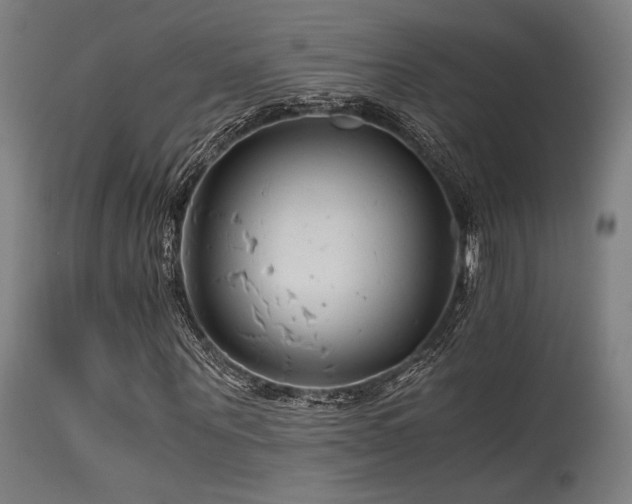 X0000115640867200911101514