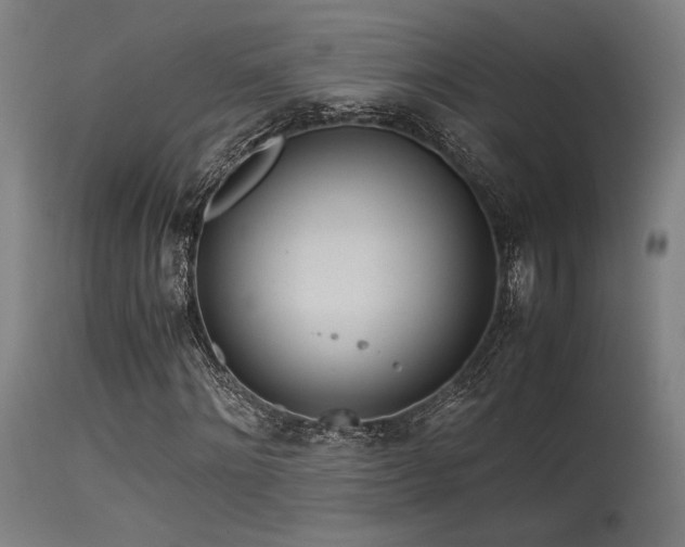 X0000115640868200911101514