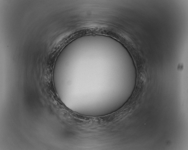 X0000115640869200911101514