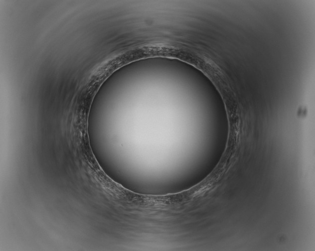X0000115640870200911101514