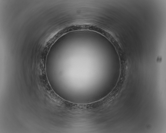 X0000115640871200911101514