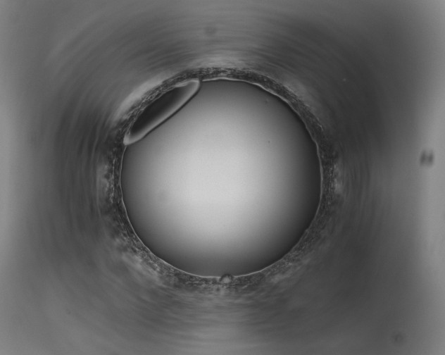 X0000115640872200911101514