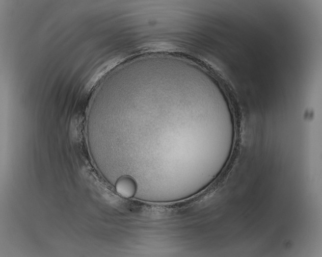 X0000115640873200911101514