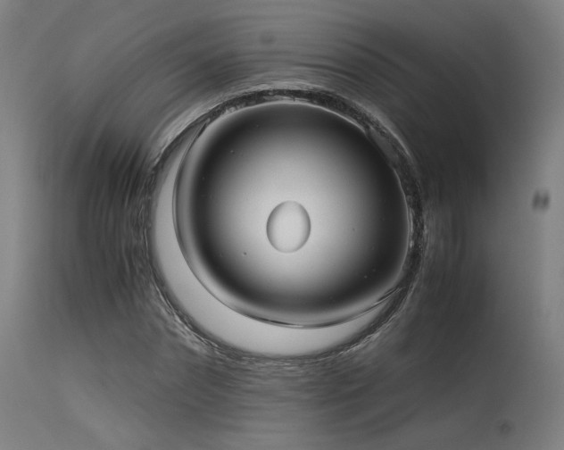 X0000115640874200911101514