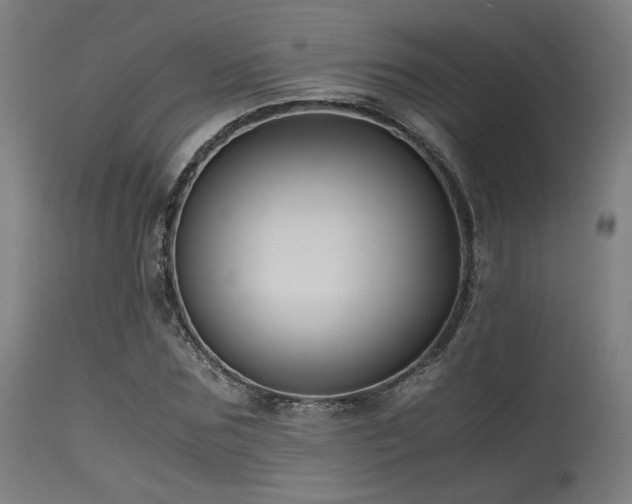 X0000115640875200911101514