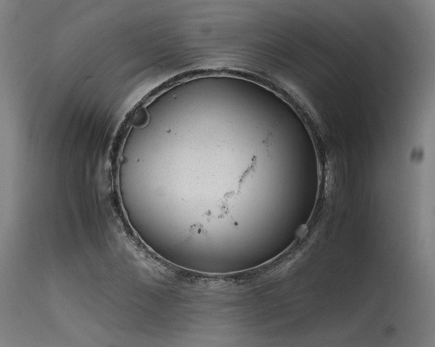 X0000115640876200911101514