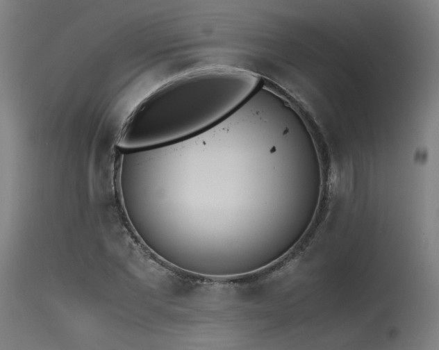 X0000115640877200911101514