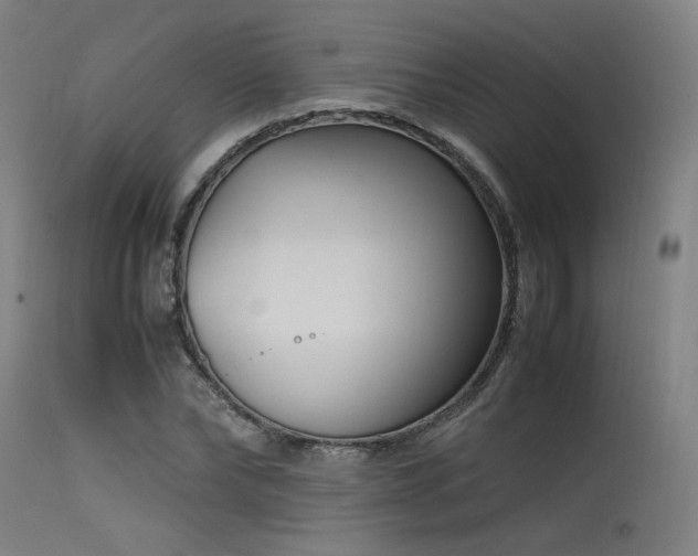 X0000115640878200911101514