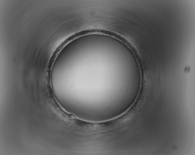 X0000115640879200911101514