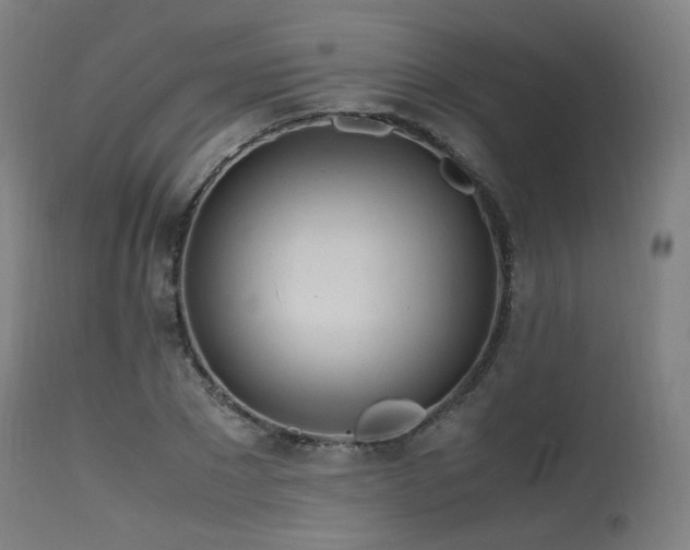 X0000115640881200911101514