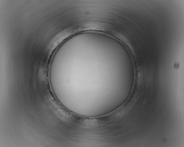 X0000115640882200911101514