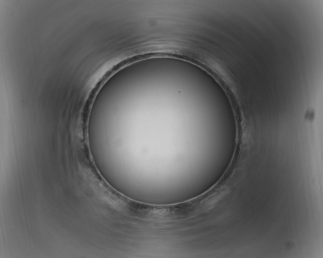 X0000115640883200911101514