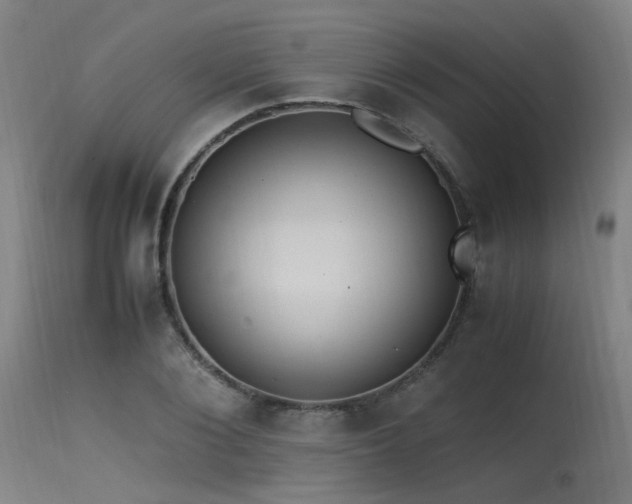 X0000115640884200911101514