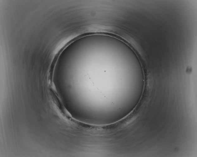 X0000115640885200911101514