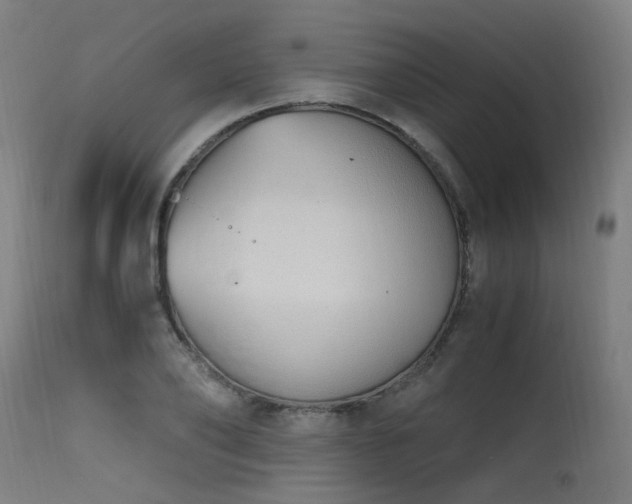 X0000115640886200911101514