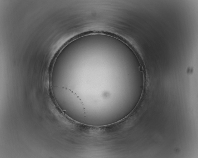 X0000115640887200911101514