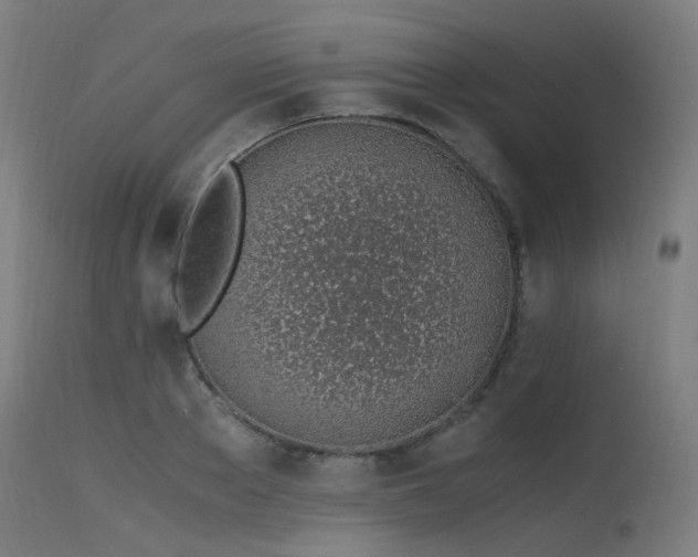 X0000115640889200911101514