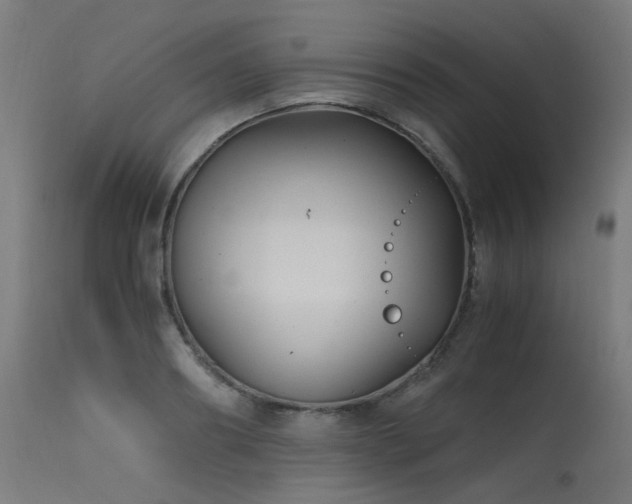 X0000115640890200911101514