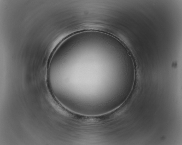X0000115640891200911101514
