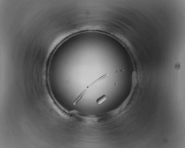 X0000115640894200911101514