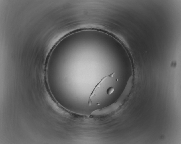 X0000115640895200911101514