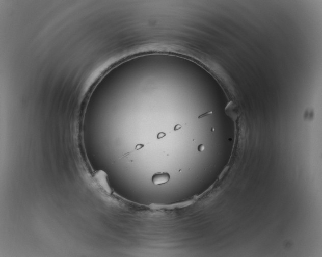 X0000115640896200911101514