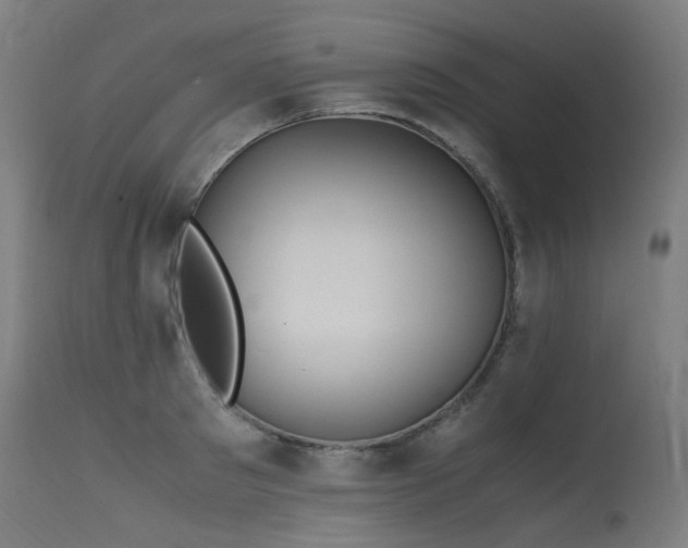 X0000115640897200911101514