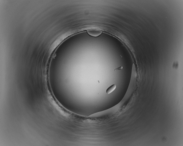 X0000115640898200911101514
