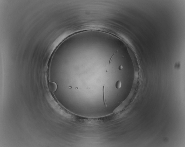 X0000115640899200911101514