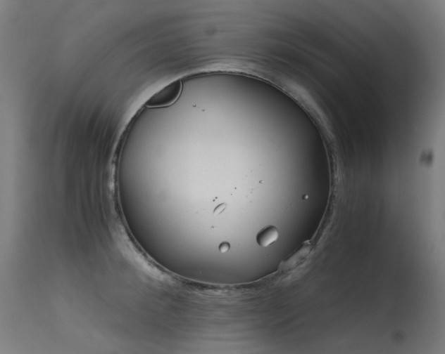 X0000115640900200911101514