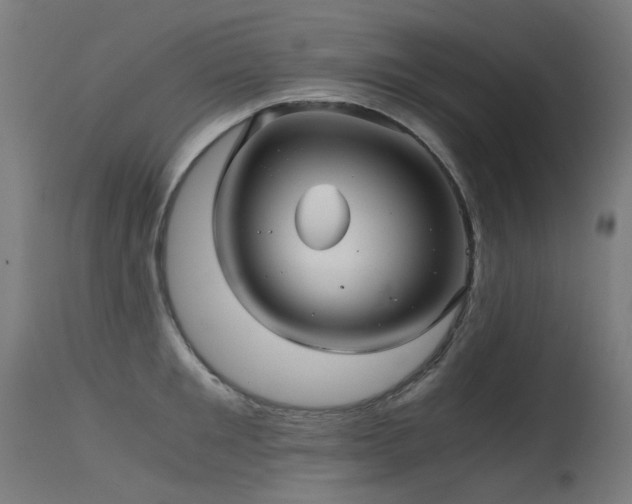 X0000115640901200911101514