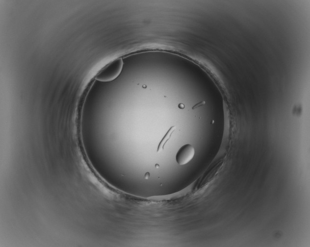 X0000115640902200911101514