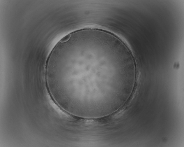 X0000115640903200911101514