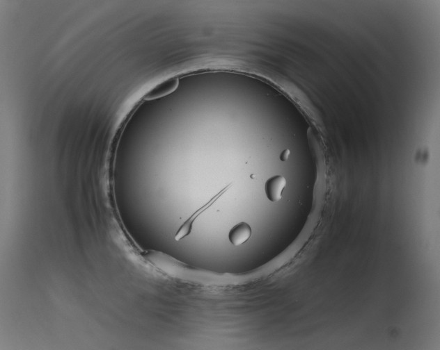 X0000115640904200911101514