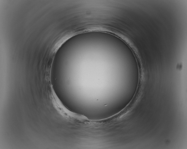 X0000115640905200911101514