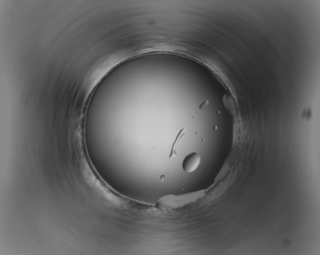 X0000115640906200911101514
