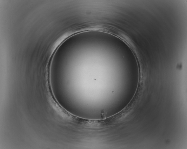 X0000115640907200911101514