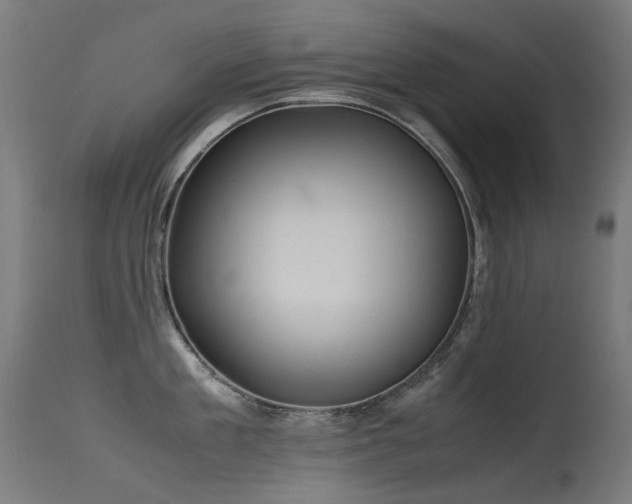 X0000115640909200911101514
