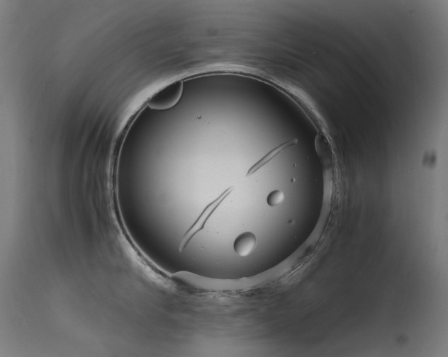X0000115640910200911101514