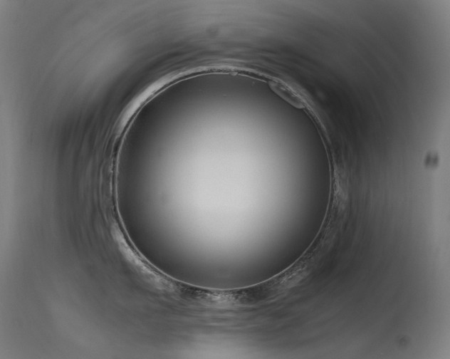 X0000115640911200911101513