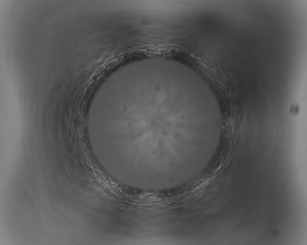 X0000115640913200911101513