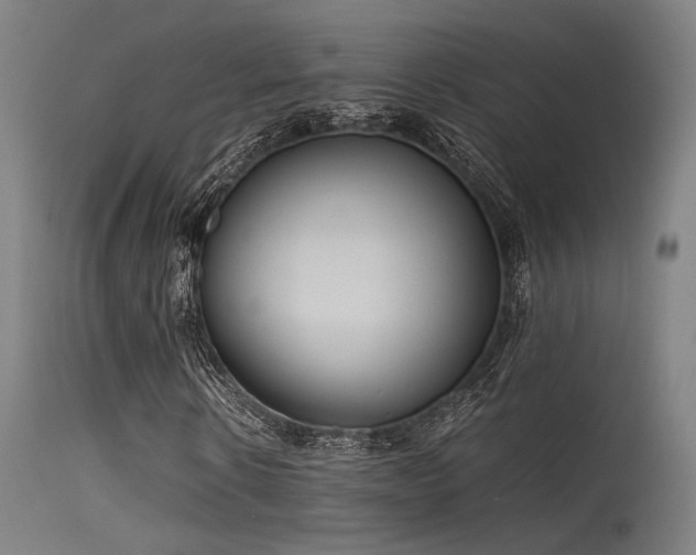X0000115640914200911101513