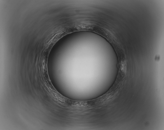 X0000115640915200911101513