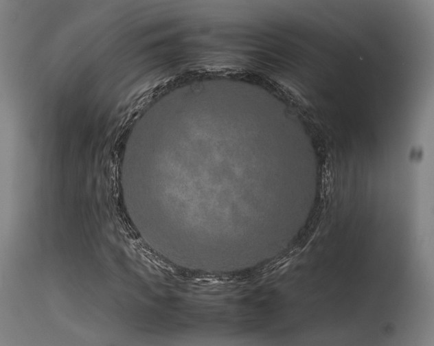 X0000115640917200911101513