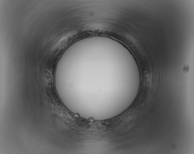 X0000115640918200911101513